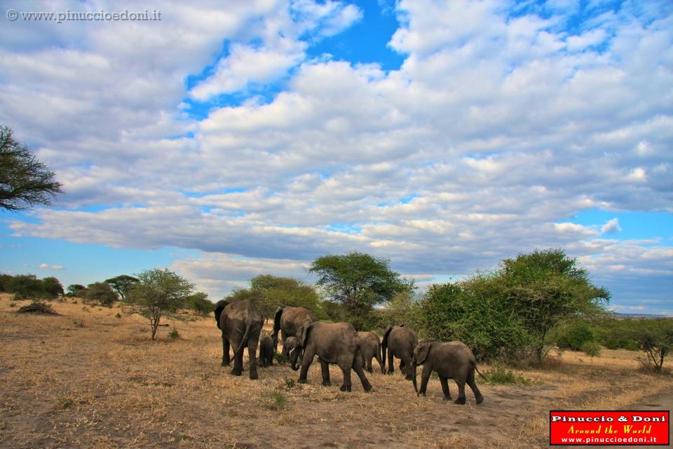 TANZANIA - Tarangire National Park - 37.jpg